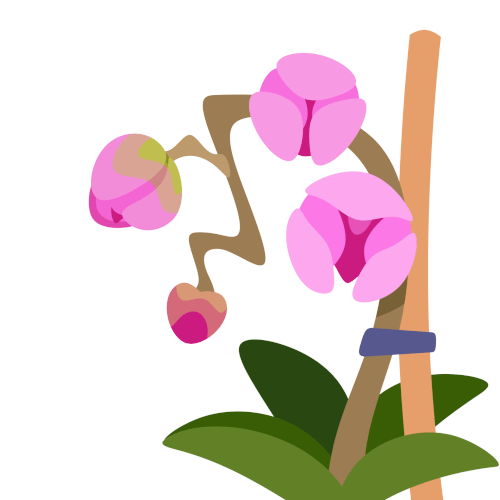 Moth Orchid Growing Twitch Sub Visualization