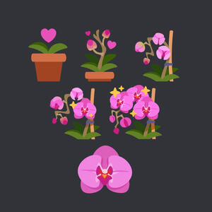 Moth Orchid Twitch Sub/Points Concept